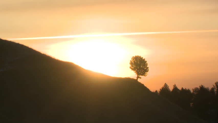 Prairie Custer State Park in Winter Orange Sky Lone Tree in South Dakota