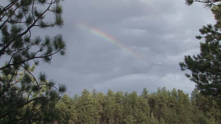 Forest Trees Black Hills in Summer Rainbow in South Dakota