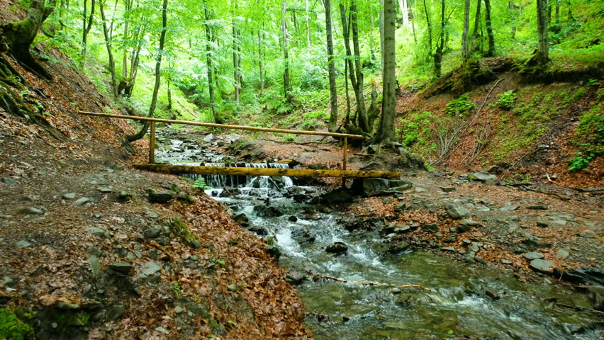 Mountain River and Woody Bridge