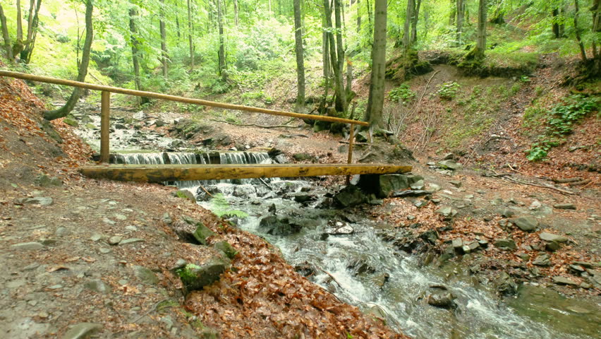 Mountain River and Woody Bridge