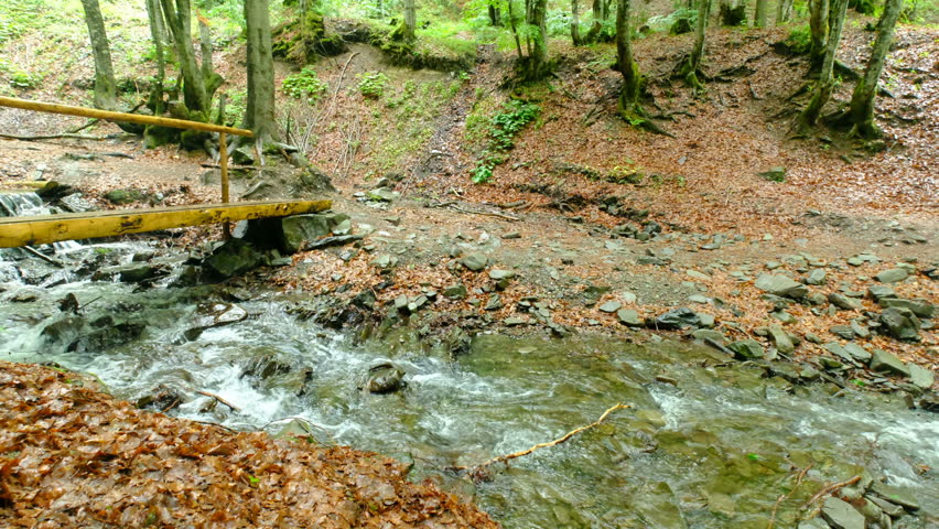 Mountain River and Woody Bridge