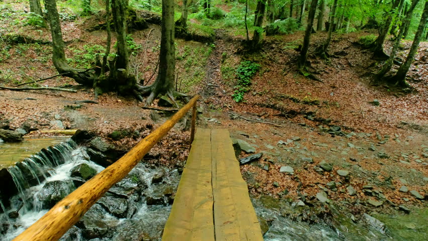 Mountain River and Woody Bridge