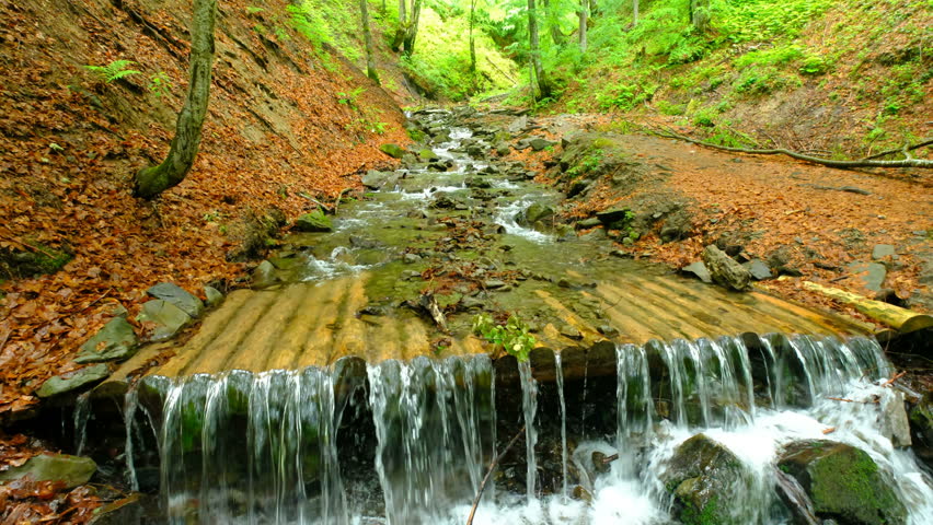 Smoky Mountain Stream. Smoky Mountain stream rushes through the lush forest of the Great Smoky Mountains National Park along the Little River Road