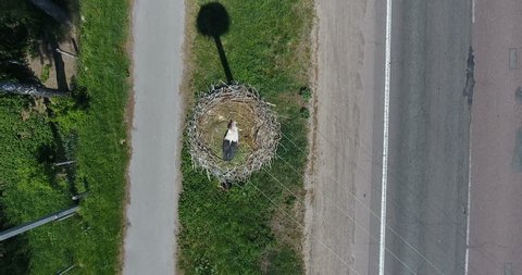 Aerial view nest of white crane bird on pole above highway with passing cars