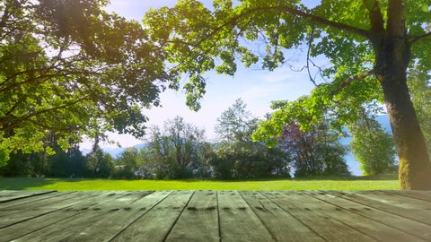 Picnic Green Park Garden Grass Nature Outdoor Nature Table City Background