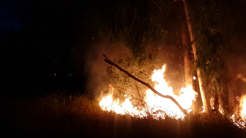 Wildfire At Night Stock Footage Video 100 Royalty Free 1011454979