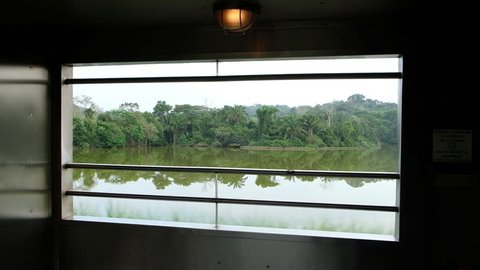 travel with train next to canal and palm tree landscape in Panama