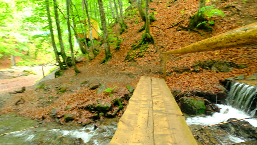 Mountain River and Woody Bridge