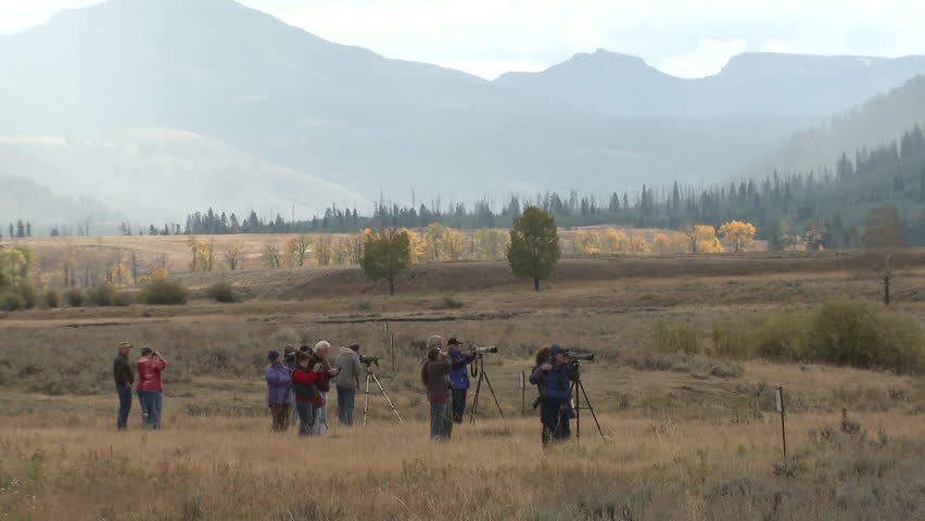 Recreation Yellowstone National Park in Fall Wolf Watching Watchers Tourism Wildlife Viewing Recreation in Wyoming