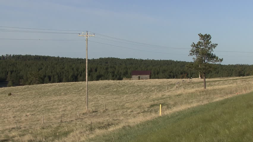 Historical Black Hills in Spring Abandoned Shack Homestead in South Dakota