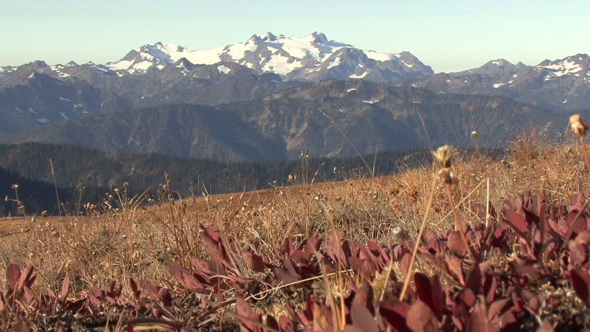 Mountain in Fall in Washington