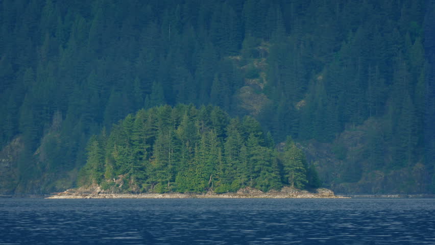 Forested Island On The Lake