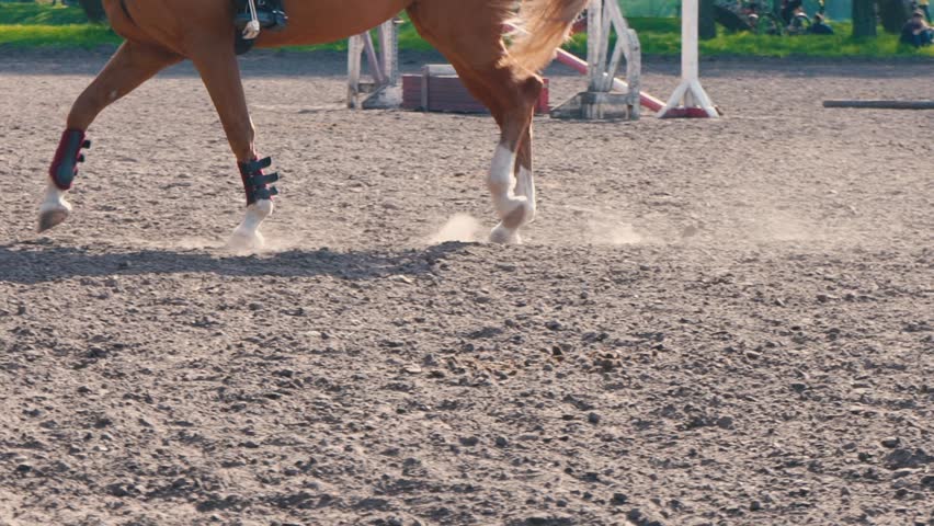 Foot of horse running on the sand at the training area, close-up of legs of stallion galloping on the ground, slow motion Royalty-Free Stock Footage #1011496115