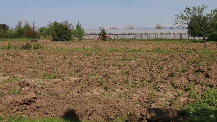 tractor cultivating farm lands at daytime