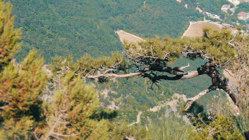Magnificent landscape of the Crimean mountains near Yalta