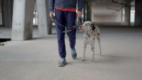 A person and a Dalmatian dog walking in the middle of the abandoned building with concrete columns.