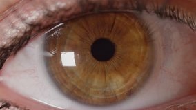 SLOW MOTION CLOSE UP: Detailed look at beautiful amber eye opening and observing surroundings. Female pupil quickly contracting as unrecognizable girl opens her pretty brown eye and gazes around room. - Powered by Shutterstock - Get 15% off with code: PIKWIZARD15