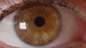 SLOW MOTION MACRO: Unknown girl's amber eye nervously searching left and right. Startled woman with mascara on long eyelashes anxiously looking around bright space. Fearful eyeball gleaming in light. - Powered by Shutterstock - Get 15% off with code: PIKWIZARD15