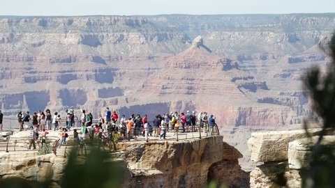 Arizona - April 2018 : Crowd of tourists viewing the Grand Canyon on the southern rim observation viewpoint viewed past greenery