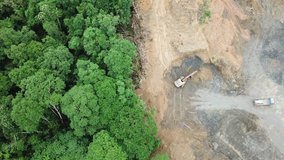 Deforestation. Rainforest in Borneo, Malaysia, destroyed for palm oil industry. Aerial drone footage of logging and environmental destruction 