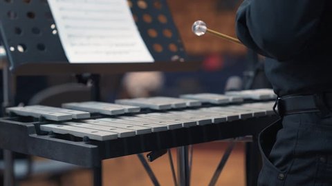Musician playing xylophone in orchestra. Close up shot of musician playing xylophone. male is performing in orchestra. 