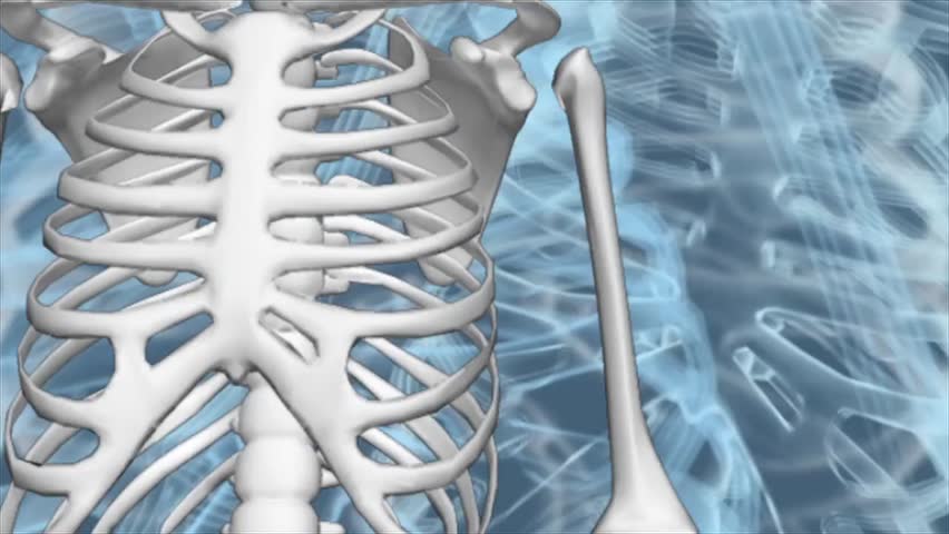 bones skeletal human anatomy body Royalty-Free Stock Footage #1011553037