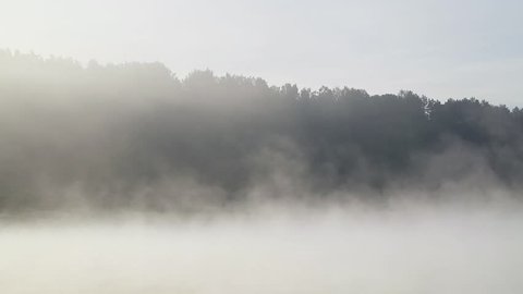 Foggy summer morning river with birdsong