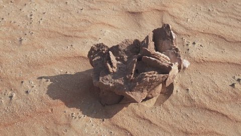 Desert rose is formations of crystal clusters of gypsum or baryte which include abundant sand grains in the Rub al Khali desert stock footage video