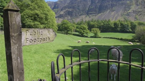Sheep and lambs in a meadow beneath hills in the Wasdale valley with entrance to a public footpath via an old iron gate in the lake district national park, cumbria, England, Uk.