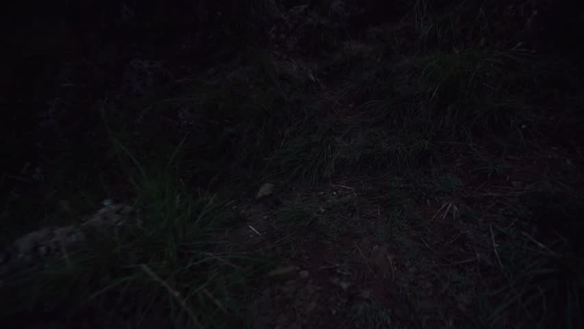 POV traveler climbing up the mountain in the dark, watching sunset. Landscape view of green hills, trees. Slow-motion.