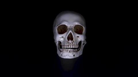 skull on a black background. 4k, dolly shot, defocusing, blur.