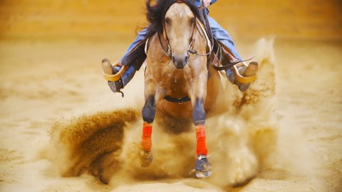 Horse sliding stop into the camera in slow motion 4K. Long shot tracking beautiful western quarter horse galloping towards the camera and sliding throwing sand all around the arena.