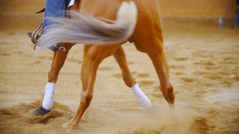 Horse spin like crazy in slow motion long shot 4K. Long shot of horse legs in focus spinning while sand flying all around. Riders sitting on the horse.