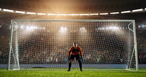 Soccer goalie catches a ball on a prefessional soccer stadium. Athlete wears unbranded sport clothes