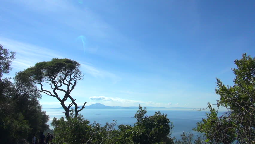 Rock of Gibraltar with Trees and Sea View