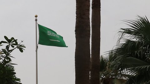 Saudi Flag framed by Trees Outdoor with little camera movement and flag waving with wind