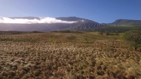 Hawaii Maui Volcano Landscape Grassland