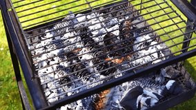Barbecue grill with fire, glowing coal and pine cones