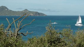White sailing boat near shore of Mayreau island, St Vincent and the Grenadines. Green bushes on the foreground