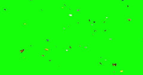 3D animation featuring 7 different species of butterflies flying around over a green background.