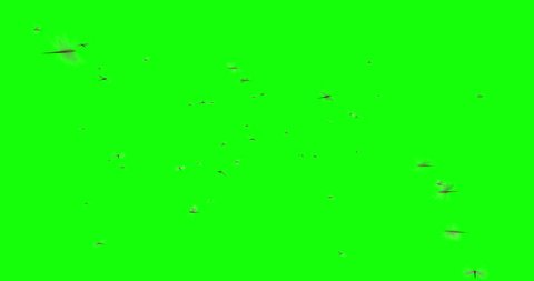 3D animation featuring a swarm of dragonflies flying around over a green background.