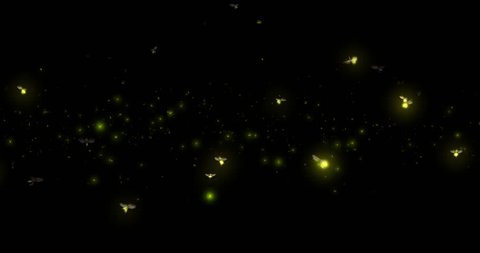 3D Animation of a swarm of glowing fireflies flying around over a black background. 