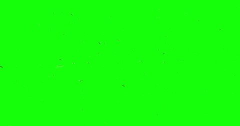 3D animation featuring a swarm of mosquitos flying around over a green background.