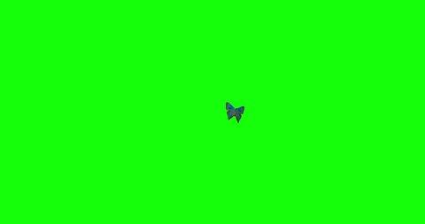 A Melissa Blue butterfly flies into frame and lands, then flies away again. Composite this clip to have a butterfly land on your title or logo.  스톡 비디오