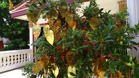 BANGKOK - MAY 22, 2018: Many golden buddhist bells. Golden leaves on a tree