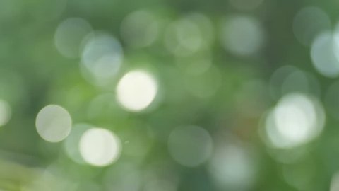 footage of the partly moving down bokeh background on green color