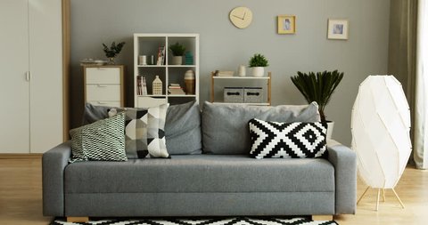 Interior of the cozy living room of the modern designed flat: gray couch with pillows and cupboard with shelves behind. Inside