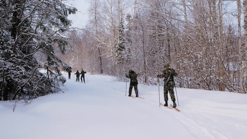 The soldiers on skis and with a gun. Clip. Group of soldiers on skis in the woods