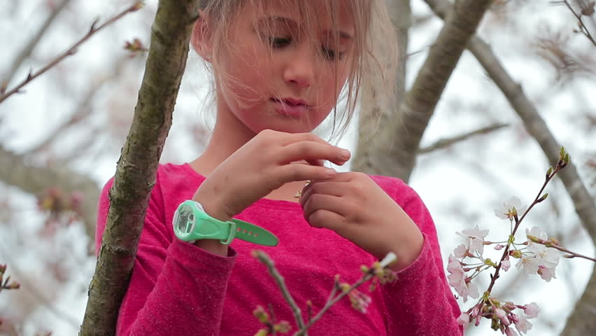 Little girl in a pink shirt and wearing a green watch is sad and thinking on top of a tree plucking petals off a white flower in a slow motion shot. International Kids Day. 4k
