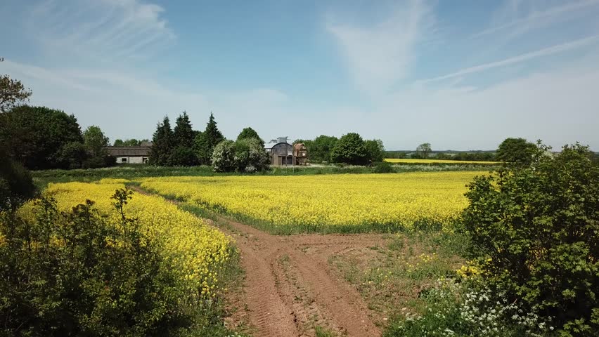 Aerial of yellow rapeseed fields on the Cotswold hills in England